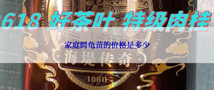 家庭鳄龟苗的价格是多少