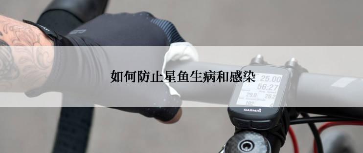  如何防止星鱼生病和感染