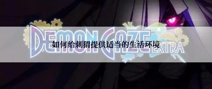 如何给刺猬提供适当的生活环境