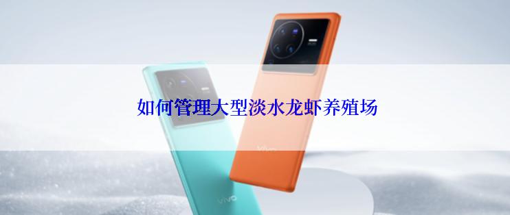 如何管理大型淡水龙虾养殖场