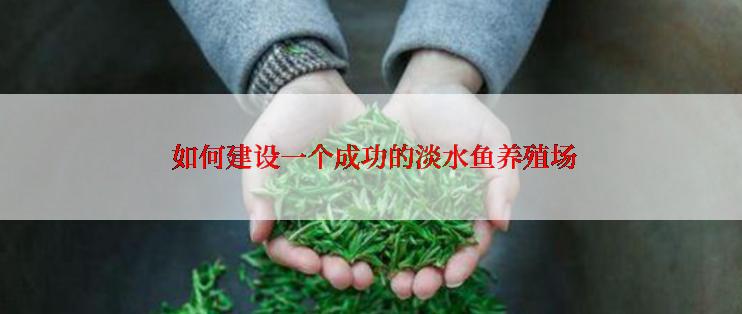 如何建设一个成功的淡水鱼养殖场