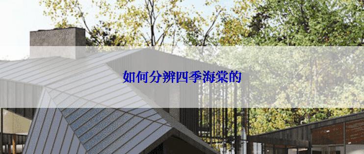 如何分辨四季海棠的