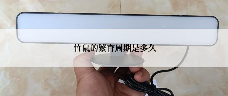  竹鼠的繁育周期是多久