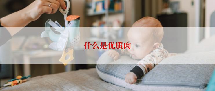 什么是优质肉