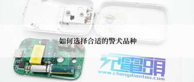  如何选择合适的警犬品种