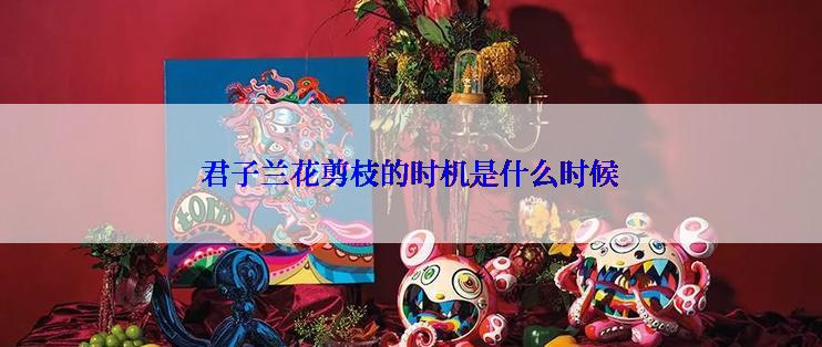 君子兰花剪枝的时机是什么时候