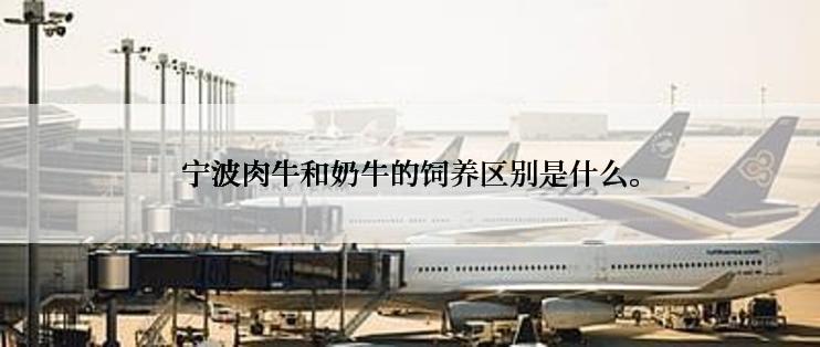 宁波肉牛和奶牛的饲养区别是什么。