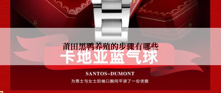 莆田黑鸭养殖的步骤有哪些
