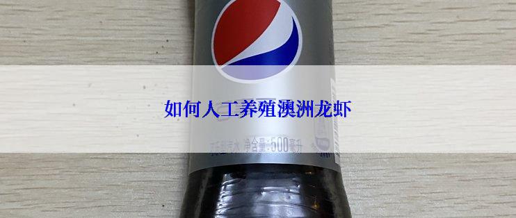 如何人工养殖澳洲龙虾