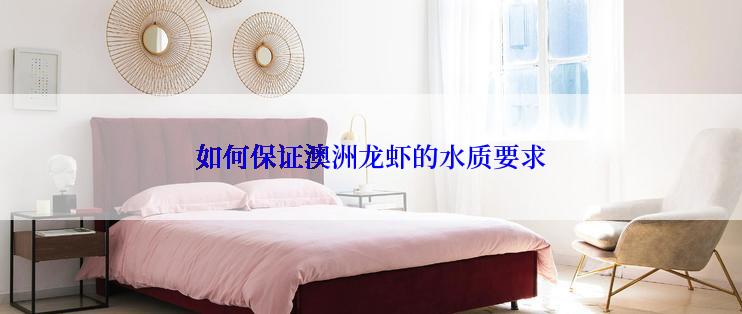 如何保证澳洲龙虾的水质要求