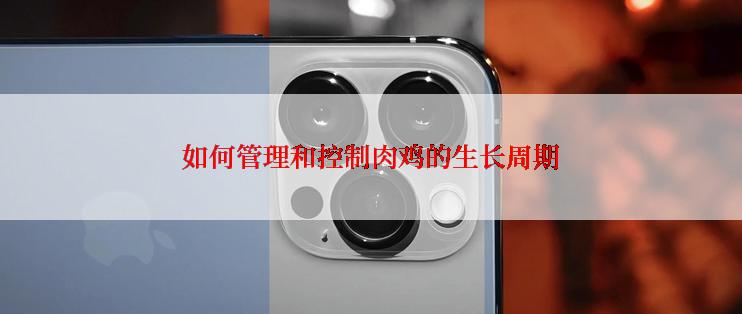 如何管理和控制肉鸡的生长周期