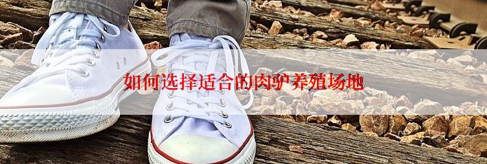 如何选择适合的肉驴养殖场地