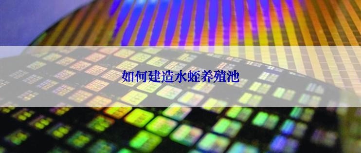 如何建造水蛭养殖池