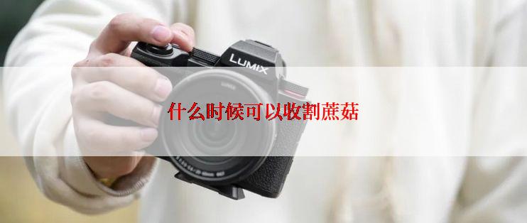 什么时候可以收割蔗菇