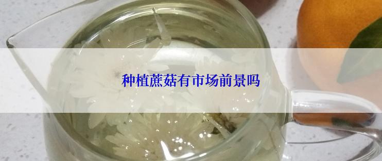 种植蔗菇有市场前景吗