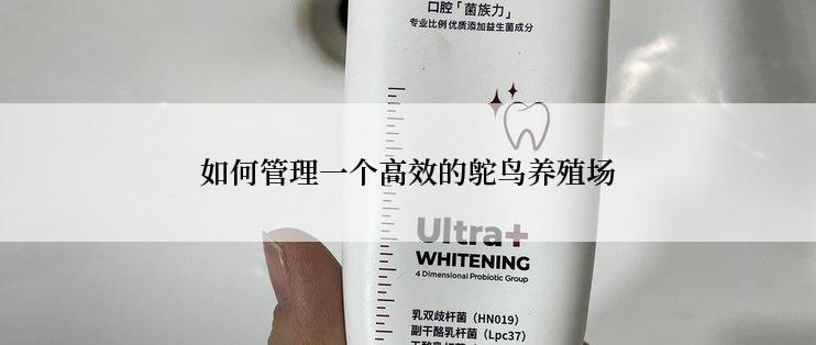 如何管理一个高效的鸵鸟养殖场