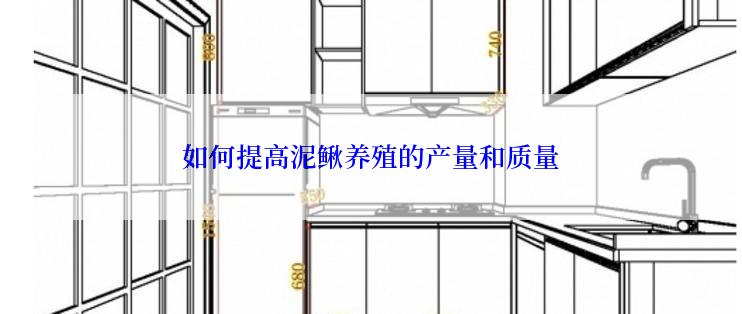 如何提高泥鳅养殖的产量和质量