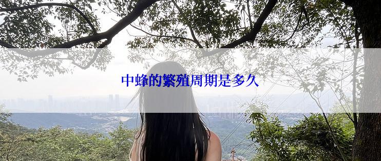 中蜂的繁殖周期是多久