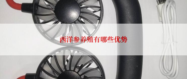 西洋参养殖有哪些优势