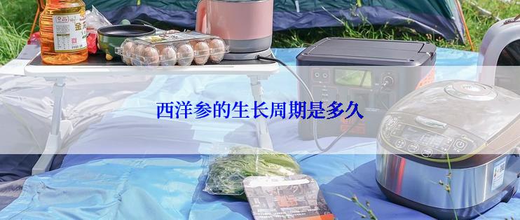 西洋参的生长周期是多久