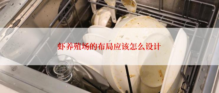 虾养殖场的布局应该怎么设计