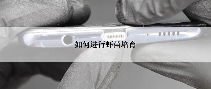 如何进行虾苗培育