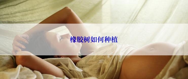 橡胶树如何种植