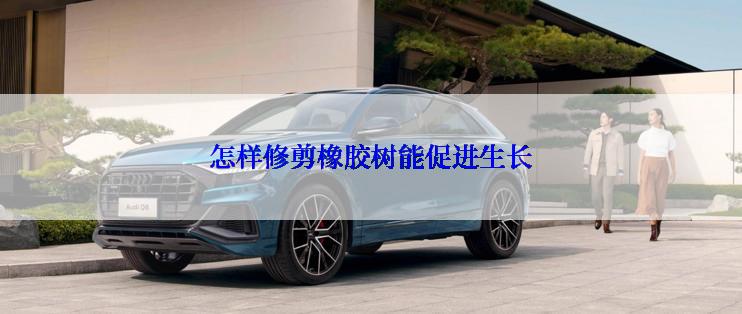 怎样修剪橡胶树能促进生长