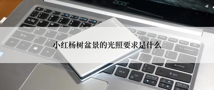 小红杨树盆景的光照要求是什么