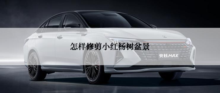 怎样修剪小红杨树盆景