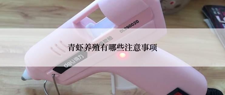 青虾养殖有哪些注意事项