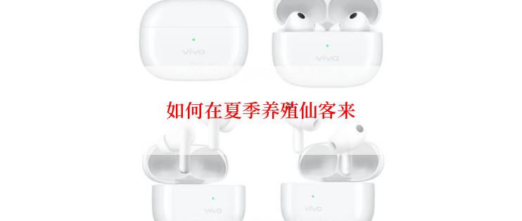 如何在夏季养殖仙客来