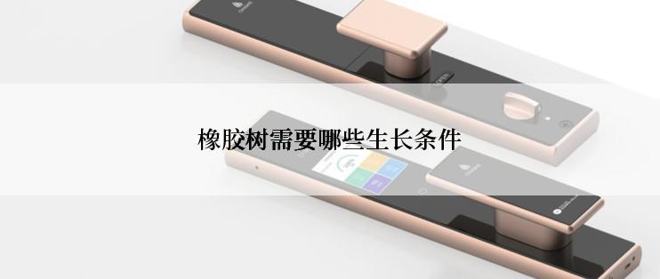 橡胶树需要哪些生长条件