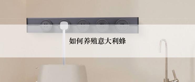 如何养殖意大利蜂