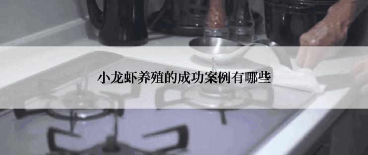 小龙虾养殖的成功案例有哪些