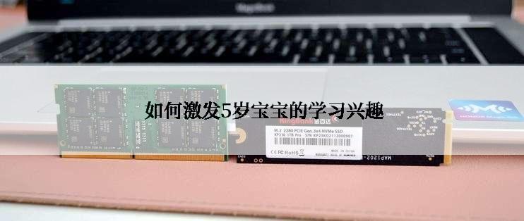  如何激发5岁宝宝的学习兴趣