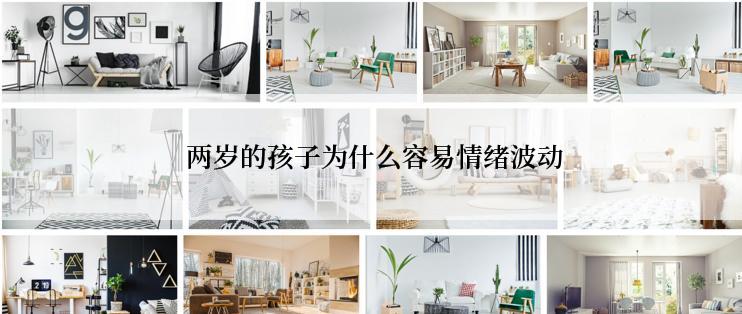  两岁的孩子为什么容易情绪波动