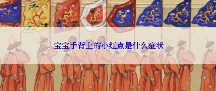 宝宝手背上的小红点是什么症状