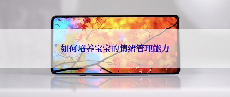 如何培养宝宝的情绪管理能力