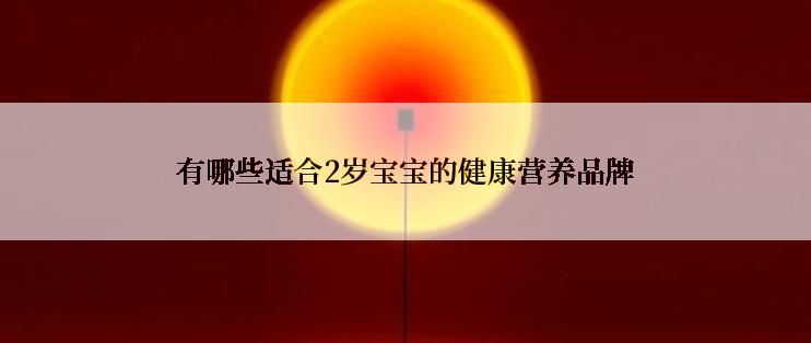 有哪些适合2岁宝宝的健康营养品牌