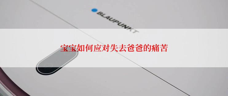 宝宝如何应对失去爸爸的痛苦