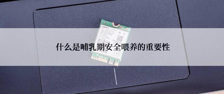  什么是哺乳期安全喂养的重要性