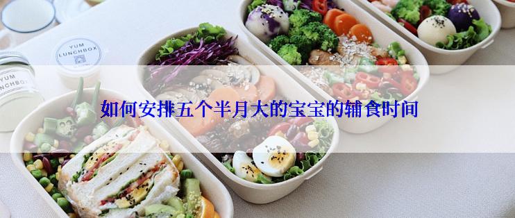  如何安排五个半月大的宝宝的辅食时间