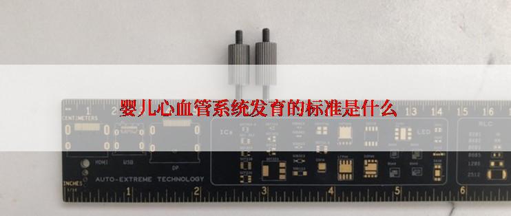  婴儿心血管系统发育的标准是什么