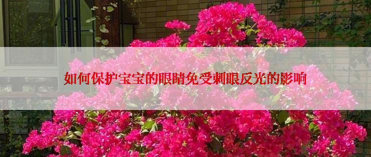如何保护宝宝的眼睛免受刺眼反光的影响