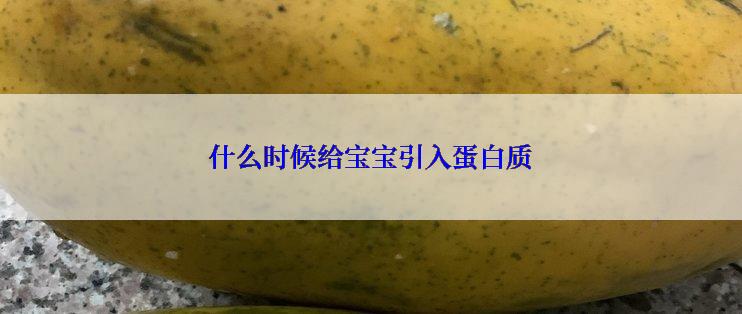 什么时候给宝宝引入蛋白质