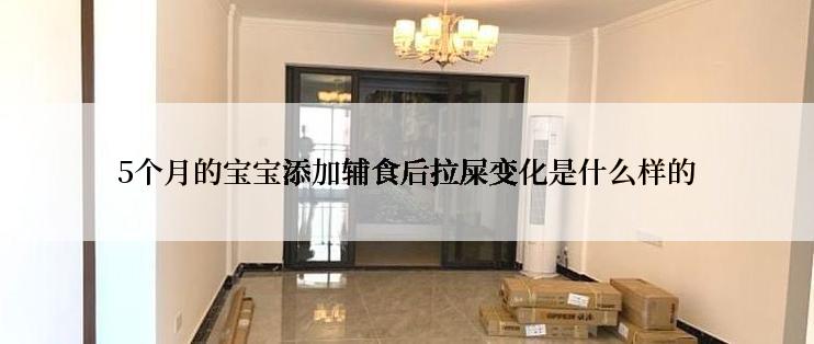5个月的宝宝添加辅食后拉屎变化是什么样的
