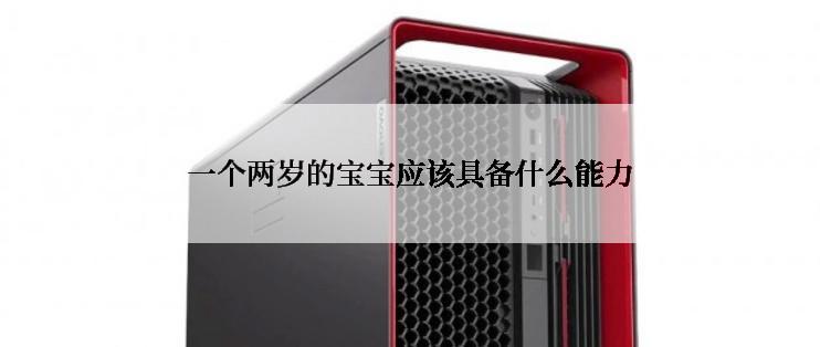 一个两岁的宝宝应该具备什么能力