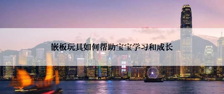 嵌板玩具如何帮助宝宝学习和成长