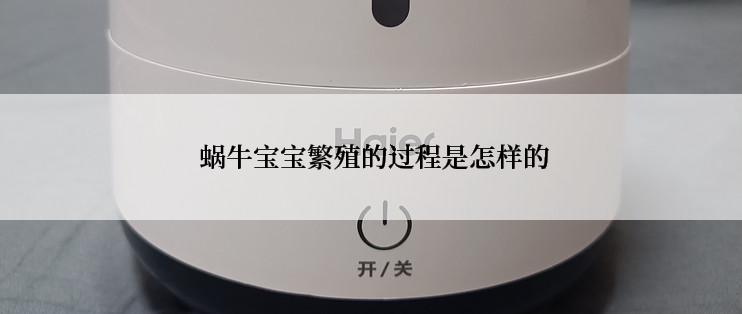  蜗牛宝宝繁殖的过程是怎样的